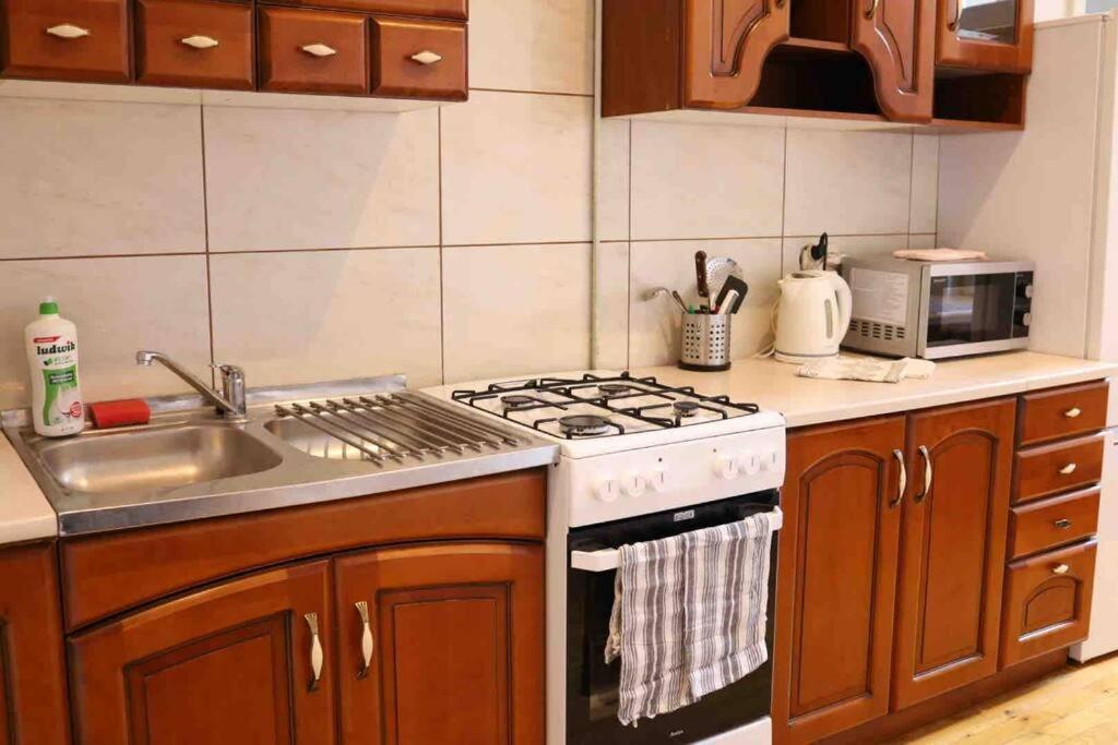 Soltyka 5 Rooms Apartment Krakkó Kültér fotó